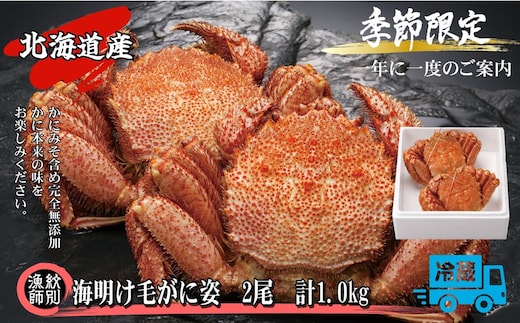 46-3 【北海道産】海明け毛がに姿 2尾計約1.0kg【期間限定5月18日まで受付予定】(冷蔵便)