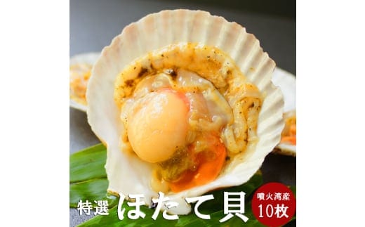 15-293 【年内発送12月15日入金まで】北海道産ホタテハーフシェル【BBQ用片殻付きほたて】 within2025
