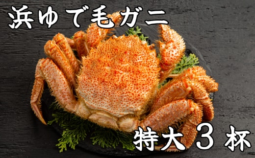 78-16 【年内発送12月15日入金まで】流氷明け浜ゆで毛ガニ 特大3杯 within2025