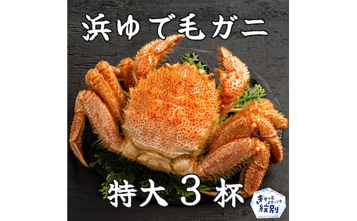 78-16 流氷明け浜ゆで毛ガニ 特大3杯