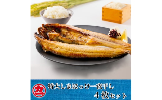 15-270 脂の乗った特大しまほっけの一夜干し4枚セット
