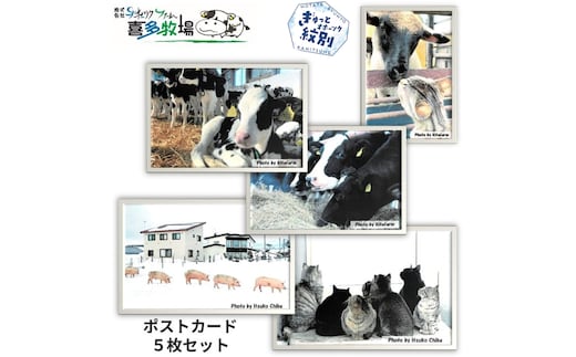 3-4 喜多牧場ポストカードセット