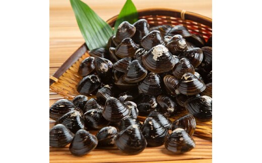 10-497 【年内発送12月15日入金まで】冷凍砂出ししじみ 3袋セット within2025