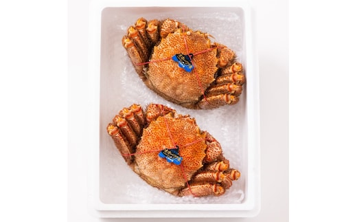 44-20 【年内発送12月15日入金まで】毛ガニ約660ｇ×2尾 within2025