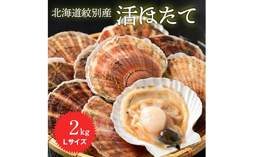 11-145 【年内配送12月15日入金まで】北海道紋別産 活ホタテ2kg(Lサイズ) within2025