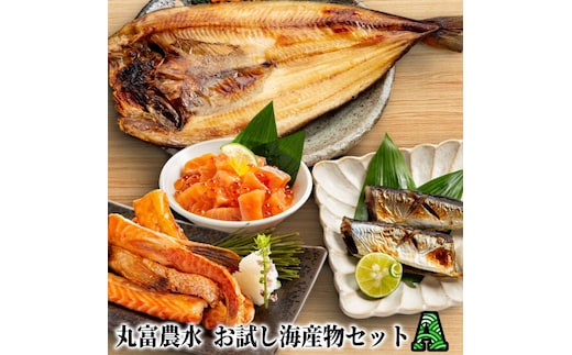 12-295 【年内発送12月15日入金まで】丸富農水お試し海産物セットＡ within2025