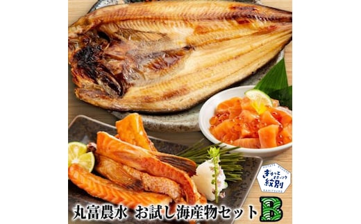 13-362 丸富農水お試し海産物セットＢ
