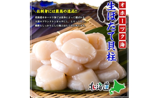 31-12 【甲羅組】ほたて貝柱 大型サイズ １ｋｇ