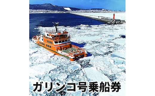 20-307 【年内発送12月15日入金まで】ガリンコ号3 IMERU 冬期運航 流氷クルーズ乗船券 within2025