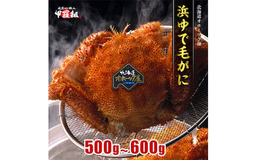 20-269 【年内発送12月15日入金まで】【甲羅組】北海道産 ボイル毛蟹 within2025