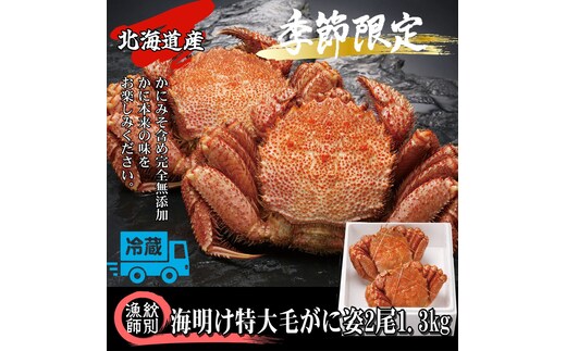 65-9 【北海道産】特大海明け毛がに姿 2尾計約1.3kg【期間限定5月18日まで受付予定】(冷蔵便)