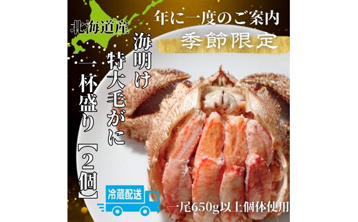 72-18 【北海道産】特大海明け毛がに一杯盛り約650g以上の毛がに2尾使用【期間限定5月18日まで受付予定】(冷蔵便)｜無添加 かに 毛がに かにみそ 高品質