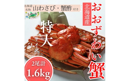 35-49 【年内発送12月15日入金まで】【北海道産】オオズワイガニ姿 特大サイズ2尾計1.6kg ｜ 蟹酢・山わさび付 かに おおずわいがに within2025