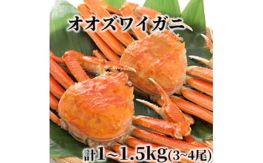 17-203 北海道産 ボイルオオズワイガニ姿 計1～1.5ｋｇ内外(3～4尾)