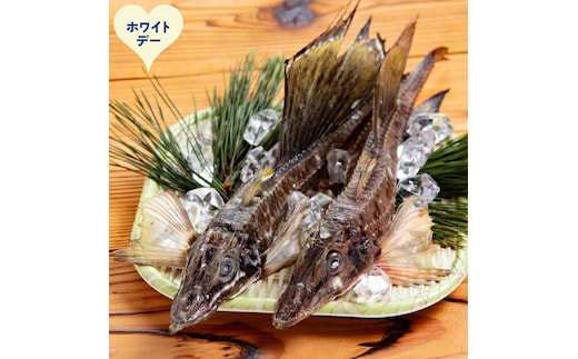 12-323 【ホワイトデー】オホーツク八角丸干し1kg