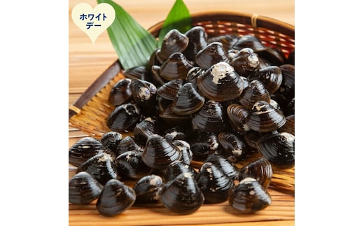 12-324 【ホワイトデー】冷凍砂出ししじみ 5袋セット