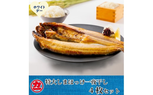 15-384 【ホワイトデー】脂の乗った特大しまほっけの一夜干し4枚セット