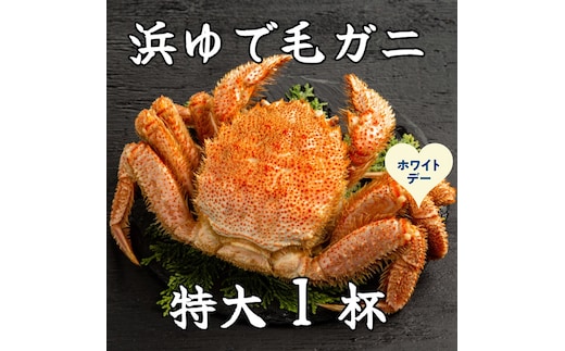 26-54 【ホワイトデー】流氷明け浜ゆで毛ガニ 特大1杯