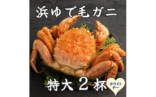 52-20 【ホワイトデー】流氷明け浜ゆで毛ガニ 特大2杯