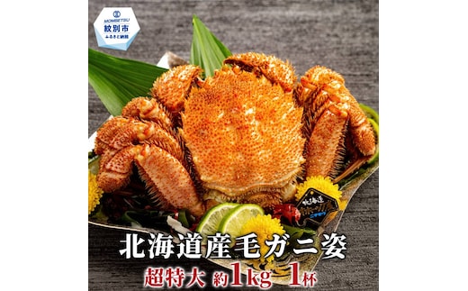 29-29 【超特大】北海道産毛ガニ 約1kg×1杯