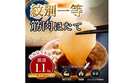 34-48 紋別一等～筋肉ホタテ 1.1kg