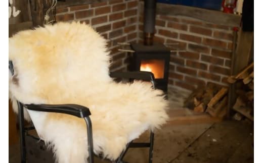 【ペコラファーム】士別サフォークムートン（長毛）