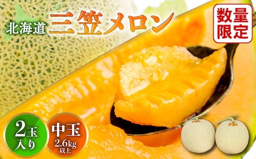 《2026年分受付中》とろける食感と甘い香り北海道三笠メロン2玉入（2.6kg以上）【0100103】