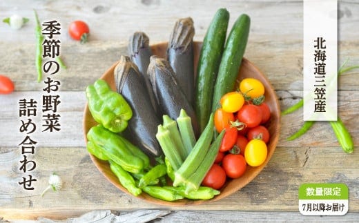 《令和8年分》数量限定！季節のお野菜詰め合わせ 夏(配送時期：7月～8月)【01017】