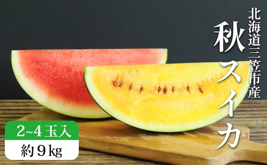 《2026年分受付中》秋に収穫される赤色スイカor黄色スイカ2～4玉(約9kg)【01149】