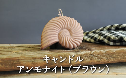 キャンドルアンモナイト（ブラウン）【38010】