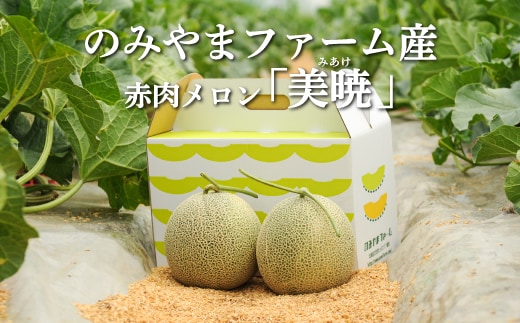 《2027年分受付中》≪数量限定！≫のみやまファームの赤肉メロン「美暁」（各1.6kg以上を2玉）【65002AA0101】