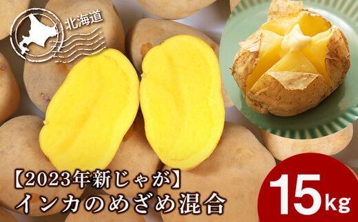 【 2026年 新じゃが 】インカのめざめ 混合 15kg いも 芋 じゃがいも ジャガイモ インカ 野菜 北海道 千歳