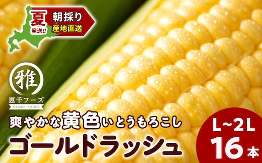 2027年夏発送 とうもろこし ゴールドラッシュ L～2L 16本