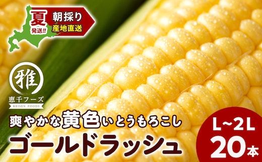 2027年夏発送 とうもろこし ゴールドラッシュ L～2L 20本