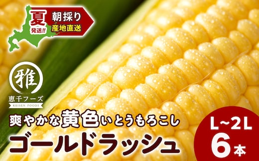 【2027年夏発送】 とうもろこし ゴールドラッシュ L～2L 6本 恵千フーズ