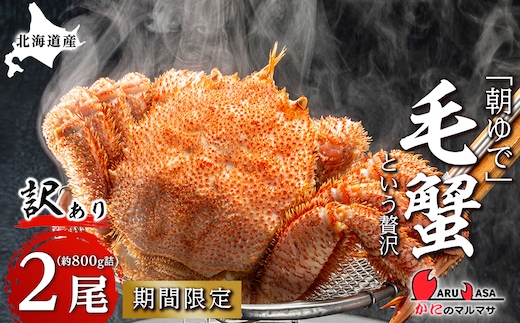 北海道産【朝ゆで】訳あり毛ガニ 800g詰 期間限定！≪かにのマルマサ≫