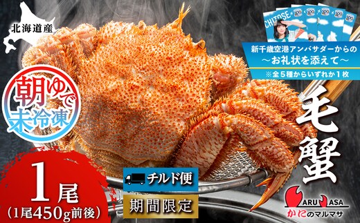 北海道産【 朝ゆで 】 毛ガニ （450g前後）1尾 期間限定！≪ かにのマルマサ ≫ かに 毛がに カニ 千歳 北海道 海鮮