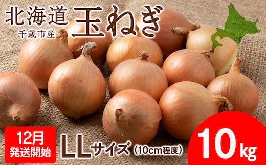 【先行予約】玉ねぎ 10kg LLサイズ 北海道 千歳市産 甘い たまねぎ 野菜 冷蔵 タマネギ 【假屋フードブリッジ】
