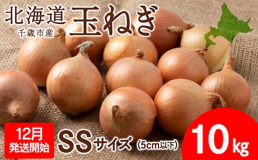 【先行予約】玉ねぎ 10kg SSサイズ 北海道 千歳市産 甘い たまねぎ 野菜 冷蔵 タマネギ 【假屋フードブリッジ】