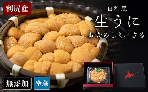 【2026年6月より発送】白利尻 生うに お試しミニざる ムラサキウ二 60ｇ 海鮮 海産物 魚介類 うに 冷蔵