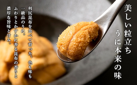 【2026年6月より発送】白利尻 生うに 花籠盛「錦」-NISHIKI- ムラサキウ二 海鮮 海産物 魚介類 うに 冷蔵