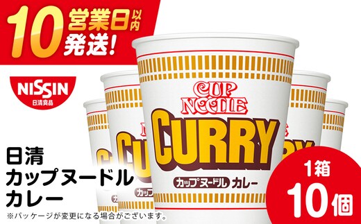 日清 カレーヌードル 10食 ラーメン 麺 即席麺 麺類 カップ麺 インスタント カップラーメン