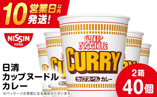日清 カレーヌードル 40食（2箱） ラーメン 麺 即席麺 麺類 カップ麺 インスタント カップラーメン