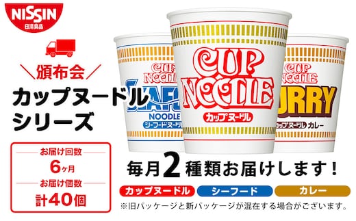 【頒布会6か月】日清 カップヌードルシリーズ2種40個（各20食）