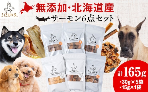 サーモン6点セット