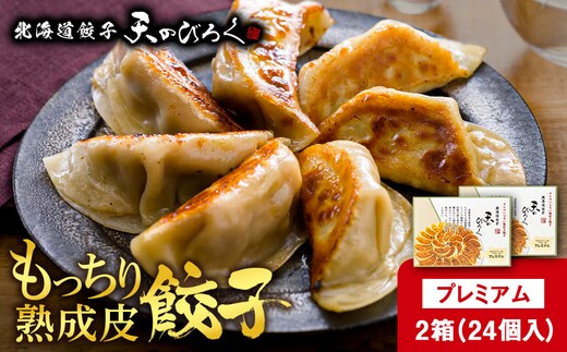 北海道餃子天のびろく プレミアム12粒入 2箱