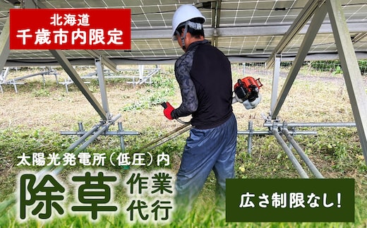 太陽光発電所 除草作業（低圧）