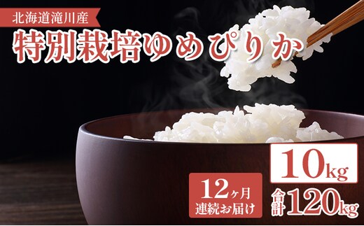 北海道滝川産 特別栽培ゆめぴりか 10kg 12ヶ月連続｜北海道 滝川市