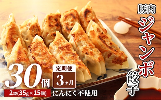 【3カ月定期便】北海道産豚肉のジャンボ餃子｜北海道 滝川市 ギョウザ 餃子 ぎょうざ 中華 惣菜 お惣菜 定期便 連続お届け