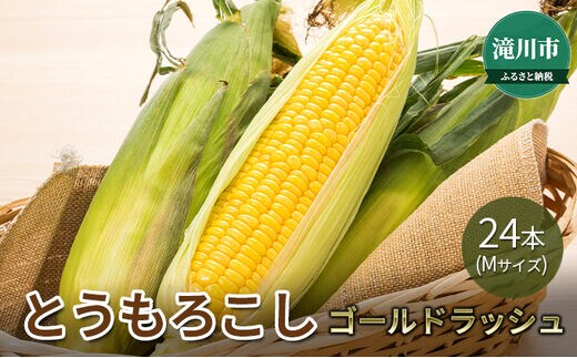 4.5kg(11～15本)ドルチェドリーム長崎県島原産 全品送料0円 その他